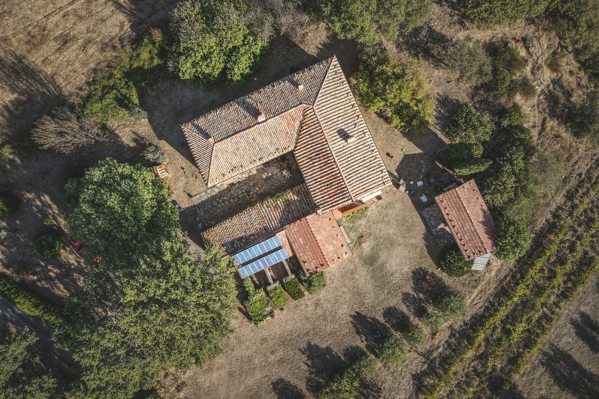 Co sprawdzić przed zakupem siedliska